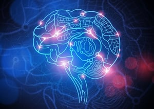 Brain!