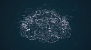 Brain-1